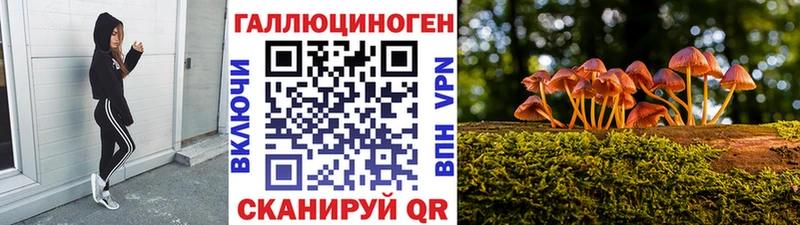 hydra как войти  Усмань  Псилоцибиновые грибы Psilocybe 